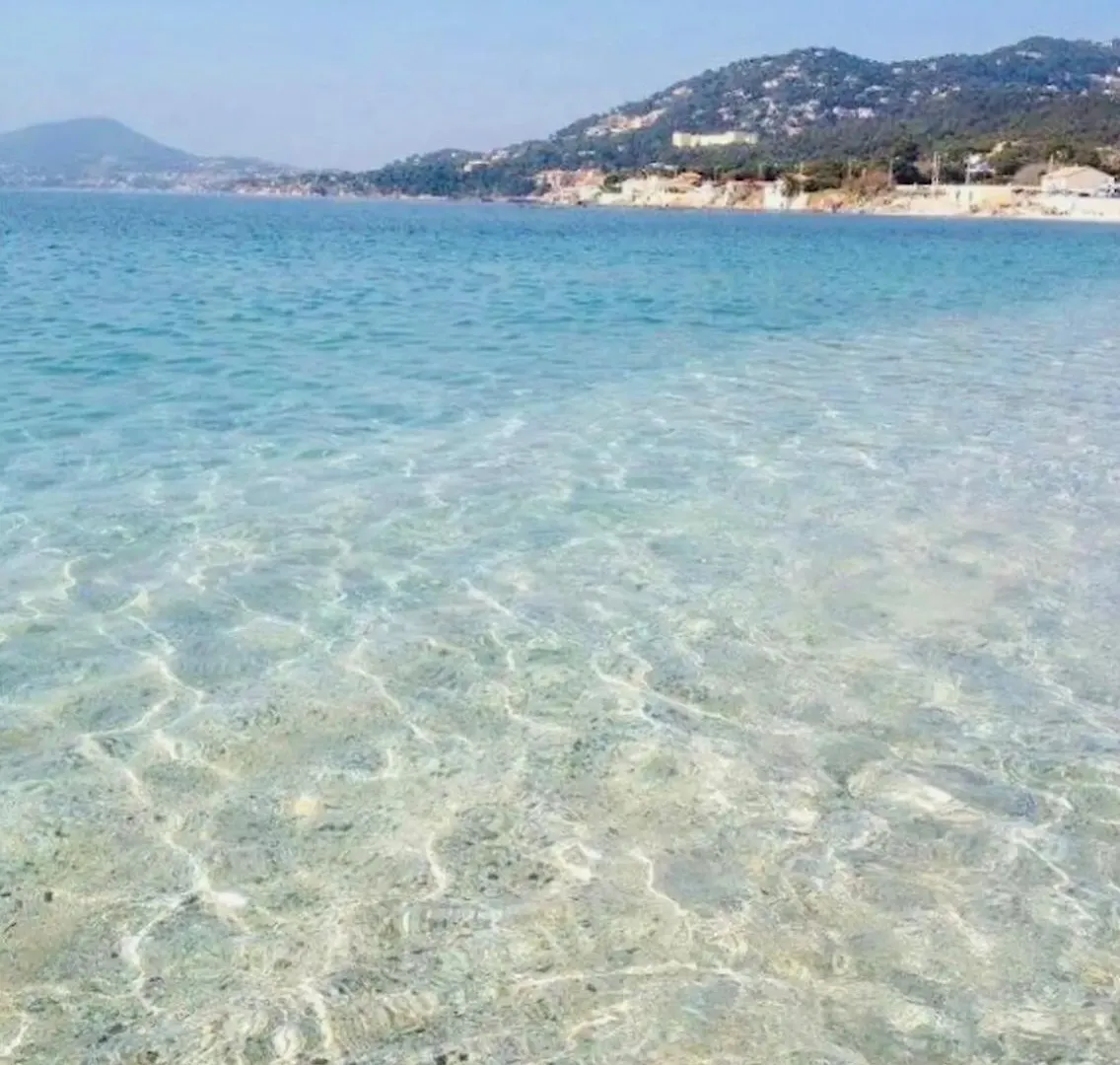 Lejlighed Les Flamants Roses La Capte Clim 4Pers 100M Plage Hyères Frankrig